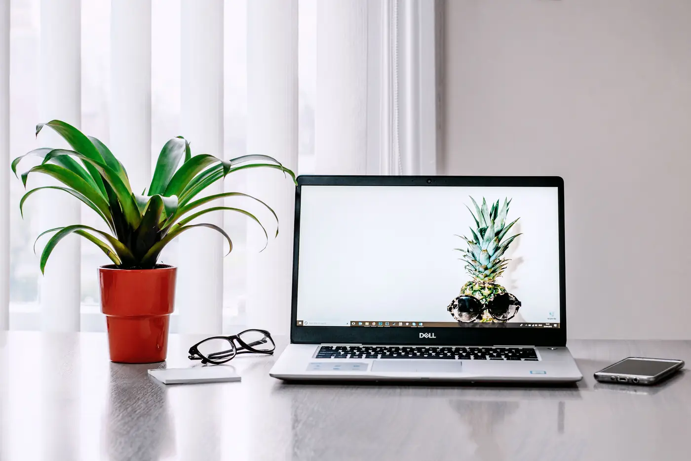 Ordinateur portable et plante verte posés sur un bureau clair